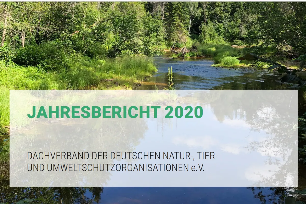 Jahresbericht 2020
